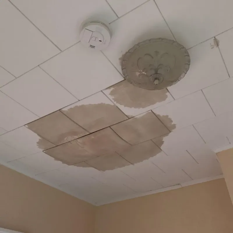 Ceiling Water Damage Repair in Mount Sterling, IL
