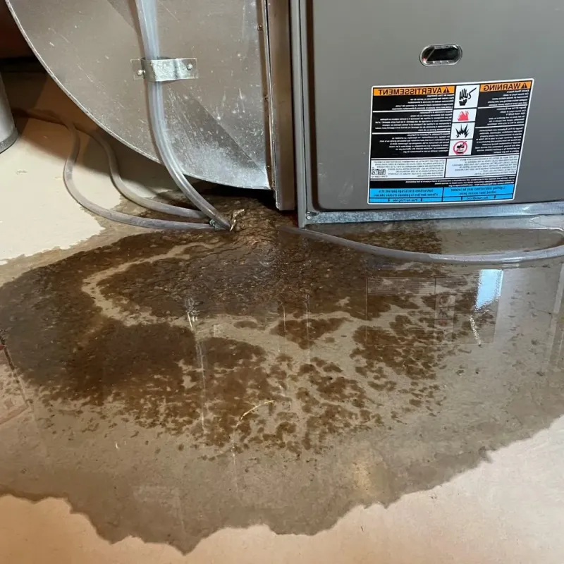 Pipe Burst and Leak Restoration in Mount Sterling, IL