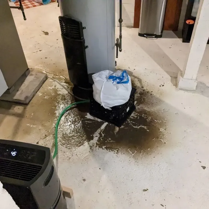 Sewage Backup Cleanup Service in Mount Sterling, IL